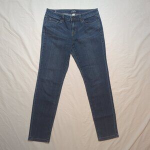 Ann Taylor Loft Jeans, Size 8